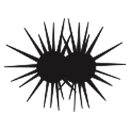 Gonorrhoea line drawing