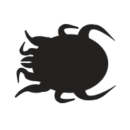 Scabies line drawing