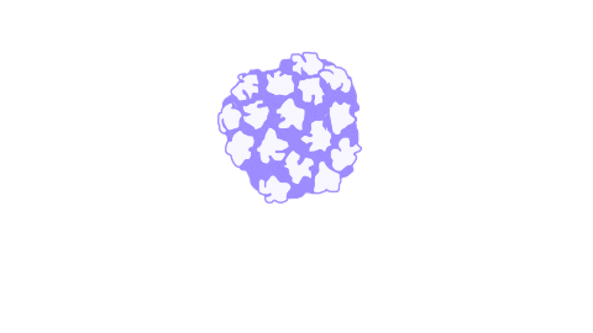 Illustration of human papillomavirus